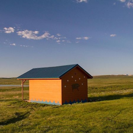 Lodgepole Gallery Browning Exterior photo