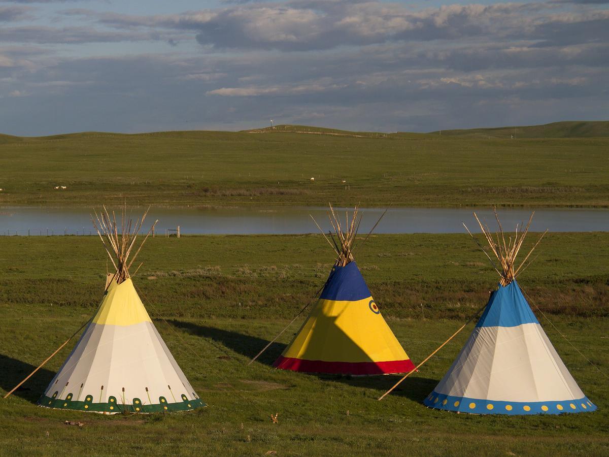 Lodgepole Gallery Browning Exterior photo